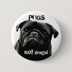 Droger för mops INTE!  Mopsvishet Knapp