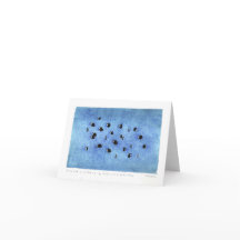 Dröja sig kvar Chromis