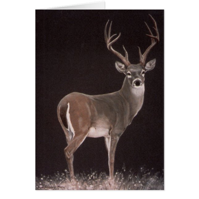 Dröm- fullvuxen hankronhjort hälsningskort (Framsidan)