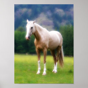 Dröm- häst för Palomino Poster