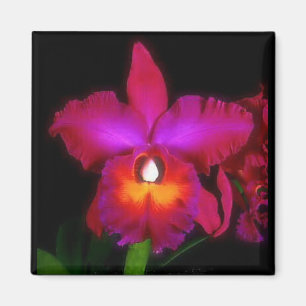 Dröm- magnet för Orchid