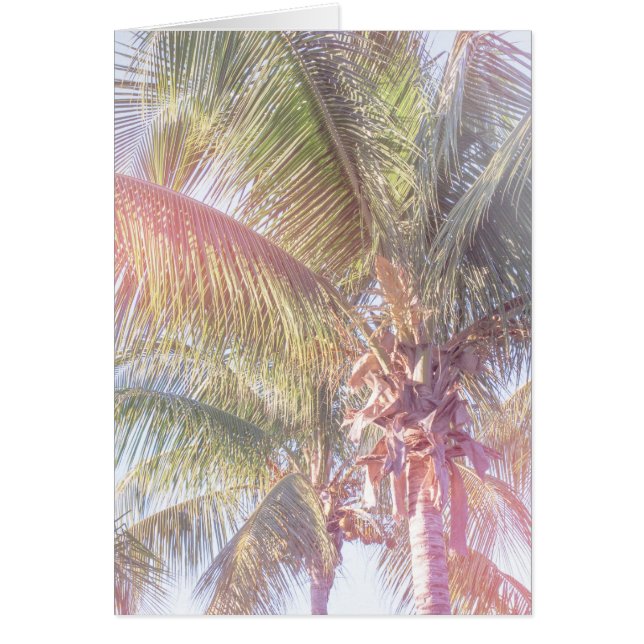 Dröm- palmträd hälsningskort (Framsidan)