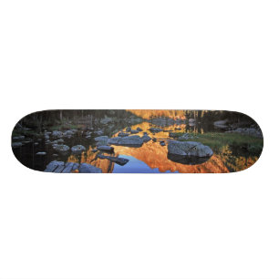 Dröm- sjö skateboard bräda 21,5 cm