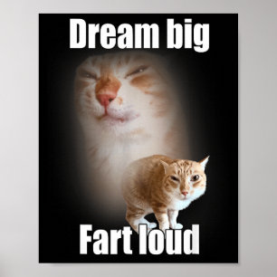 Dröm stort fjärt högt katt meme rolig slogan poster
