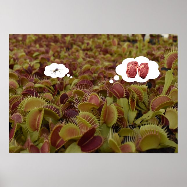 Dröm stort inte smått. poster (Framsidan)