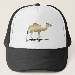 Dromadaire (mästare d'Arabie) Keps