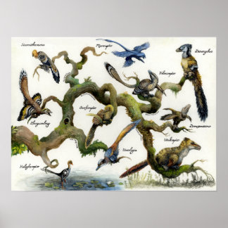 Dromaeosaur Familjeträd Tryck