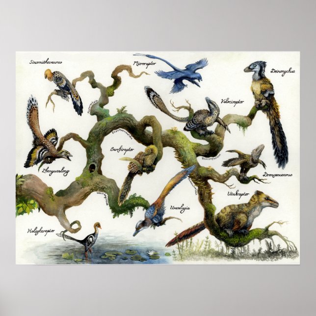 Dromaeosaur Familjeträd Tryck (Framsidan)