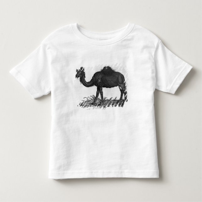 Dromedar från 'Historial Animalium Tee (Framsida)