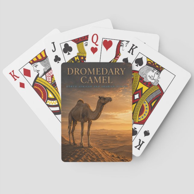 Dromedar Kamel Öken Dyner DJUR Poker Casinokort (Baksidan)