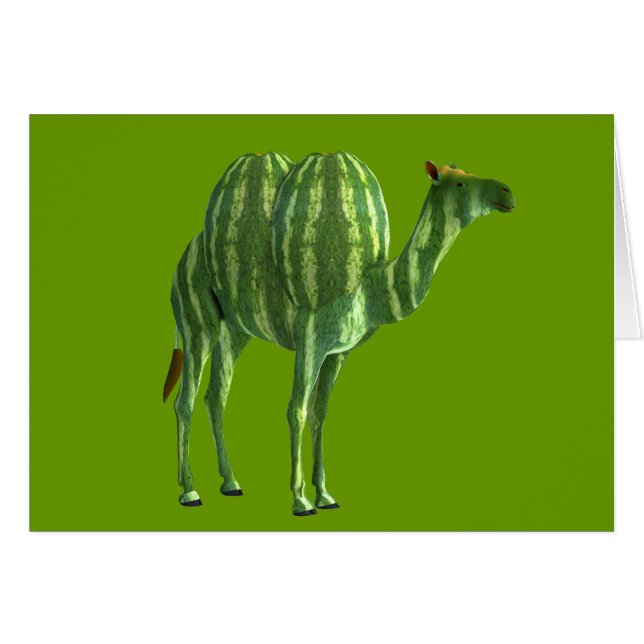 Dromedary på vattenmelondagen hälsningskort (Framsidan Horizontal)