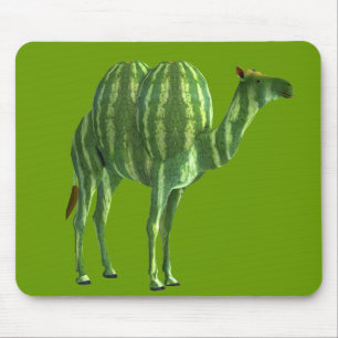Dromedary på vattenmelondagen musmatta