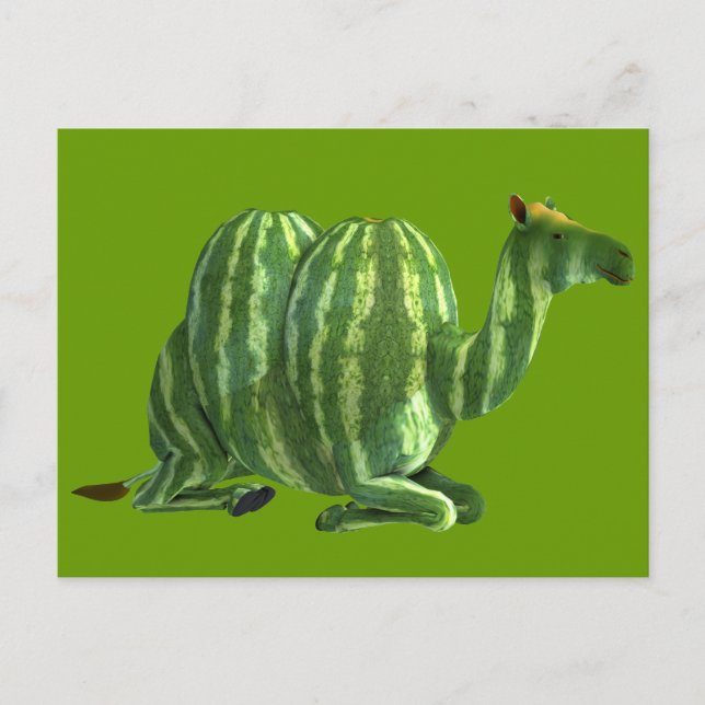 Dromedary på vattenmelondagen vykort (Framsida)