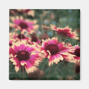 Drömlika filtblommor magnet