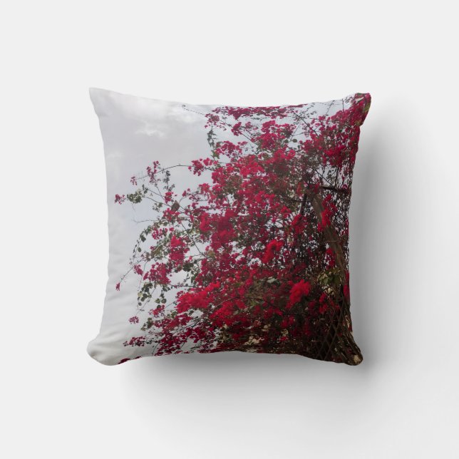 Drömlös Röd Bougainvillea Blommig Fotografering Tä Kudde (Framsida)