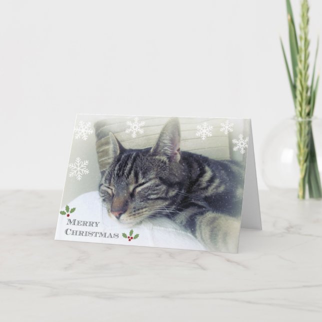 Drömma av en vitjulkort helgkort (Framsida)