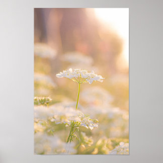 Drömmande med blommorna poster