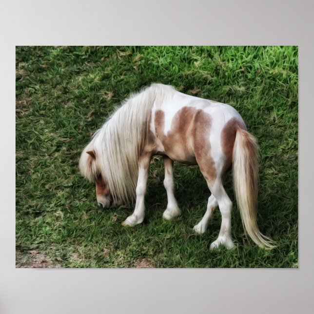 Drömmande söt ponny fotografiskt konsttryck poster (Framsidan)