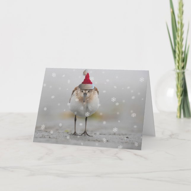 Drömmande Strandpiparens jul Kort (Framsida)