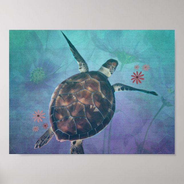 Drömmar av havssköldpaddor poster (Framsidan)