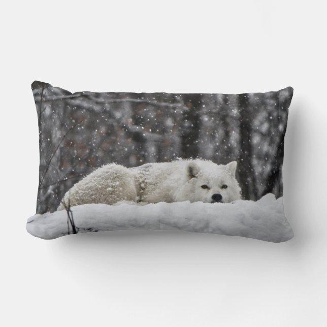 Drömmar av värmeapparatväder lumbarkudde (Framsida)