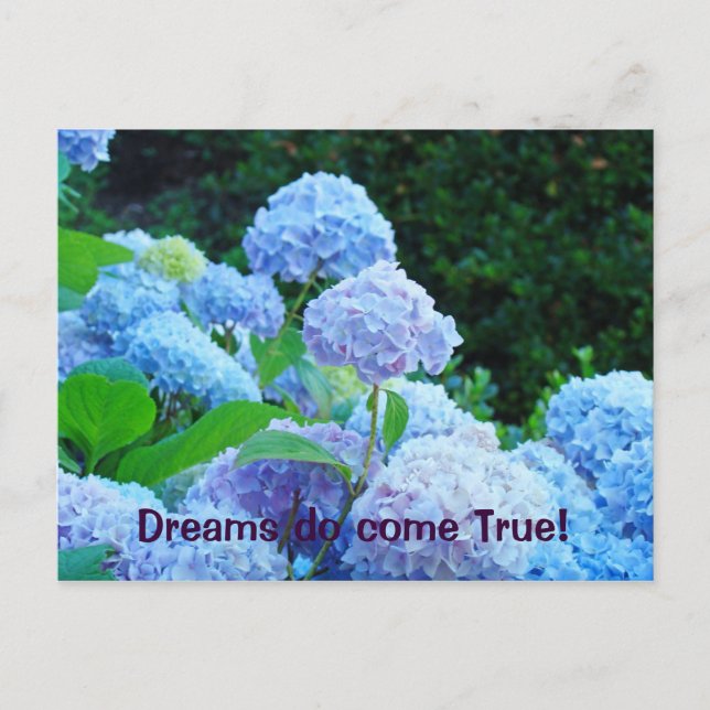 Drömmar blir verklighet! vykort Blå Hortensia (Framsida)