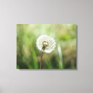 drömmar canvastryck