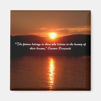 Drömmarens skönhet magnet