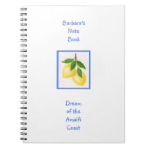 Drömmen i ANPASSNINGSBARNA Amalfi Kusten