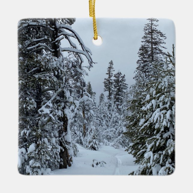 Drömmer om en vit jul julgransprydnad keramik (Framsida)