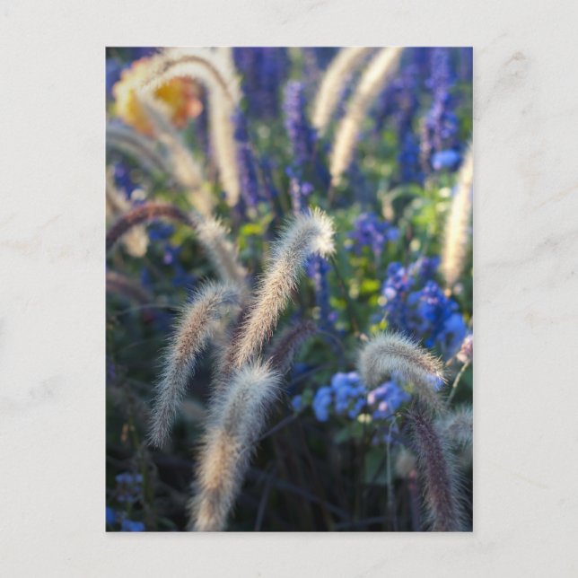 Drömmig ängsblomma vykort (Framsida)