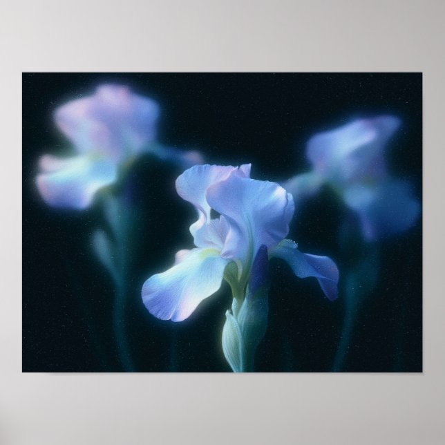 Drömmig Blå Iris Blommig Väggkonst Poster (Framsidan)