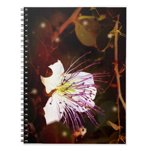 Drömmig Vintage Palestina Kapersblomma Antecknings Anteckningsbok (Framsidan)