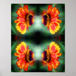 Drömmig Zinnia Blomma Abstrakt Konst  Poster