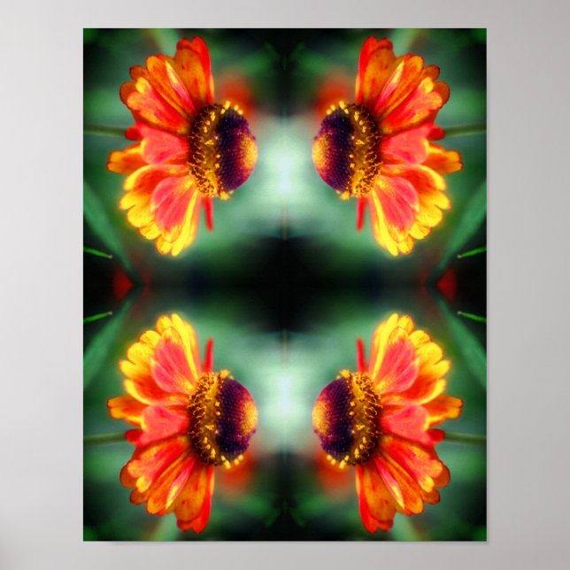 Drömmig Zinnia Blomma Abstrakt Konst  Poster (Framsidan)