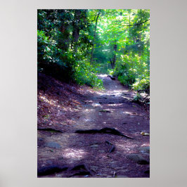 Drömning av ett vandringsspår poster
