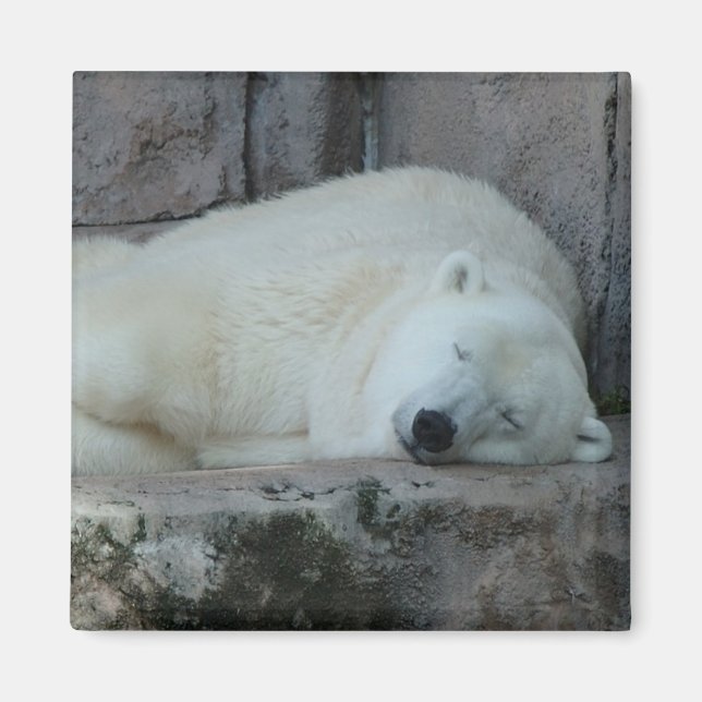 Drömning av Icebergs Magnet (Framsidan)