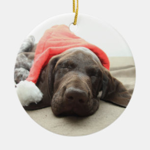Drömning av Santa - Tysk Shorthair Puppy Julgransprydnad Keramik