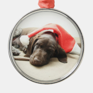 Drömning av Santa - Tysk Shorthair Puppy Julgransprydnad Metall