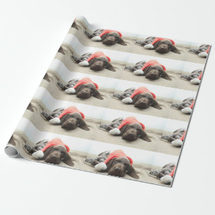 Drömning av Santa - Tysk Shorthair Puppy Presentpapper