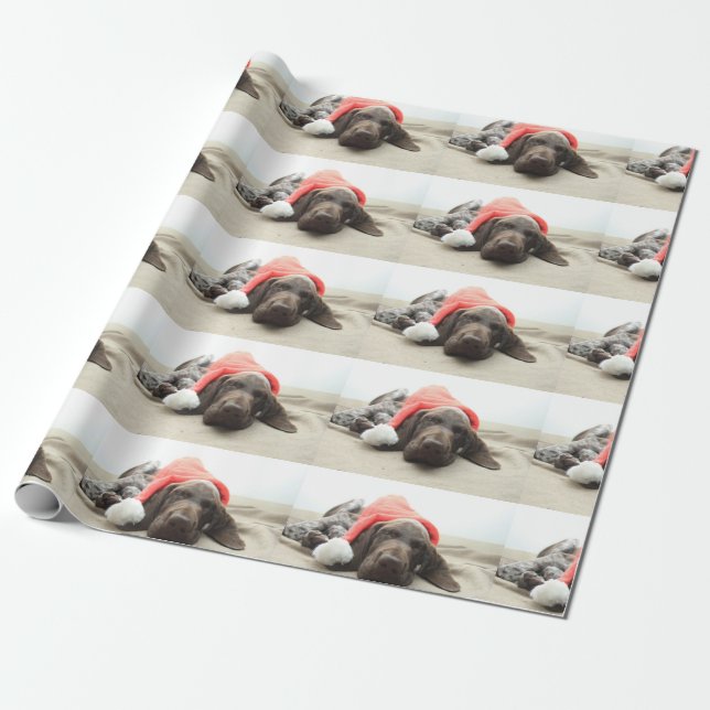 Drömning av Santa - Tysk Shorthair Puppy Presentpapper (Utrullad)
