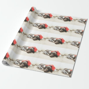 Drömning av Santa - Tysk Shorthair Puppy Presentpapper