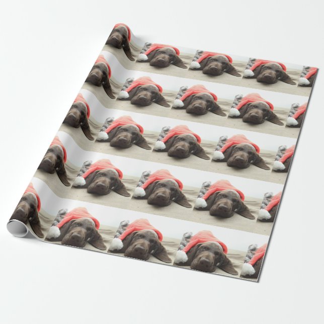 Drömning av Santa - Tysk Shorthair Puppy Presentpapper (Utrullad)