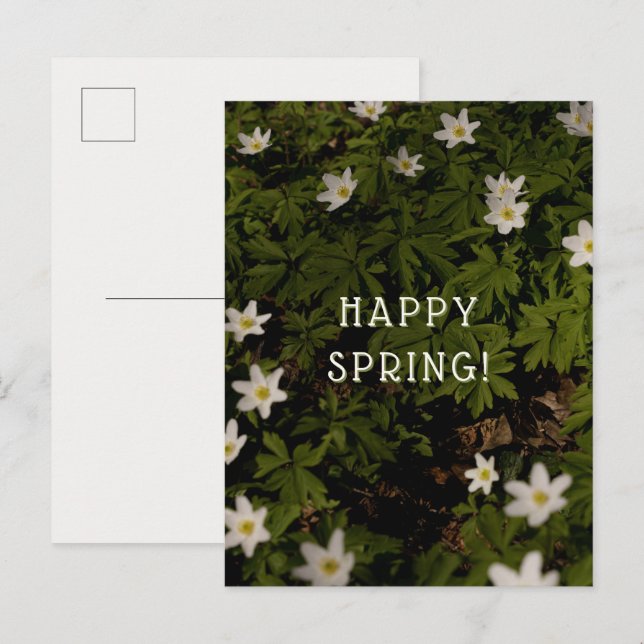 Drömsk och mjuk vårblomster estetisk hälsning vykort (Fram/baksida)