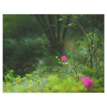 Drömsk skogsblomma Scrapbookpapper