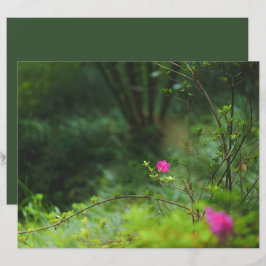 Drömsk skogsblomma Scrapbookpapper