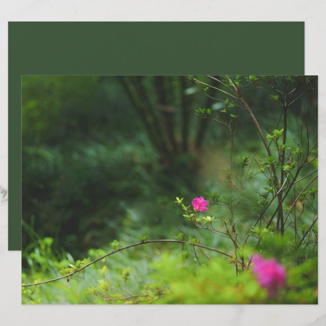 Drömsk skogsblomma Scrapbookpapper (Fram/baksida)