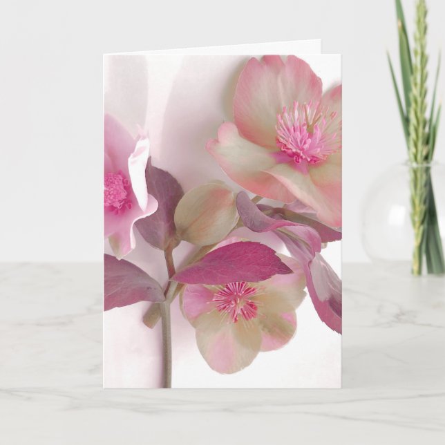 Drömska Hellebores Pappersplacemat Kort (Framsida)