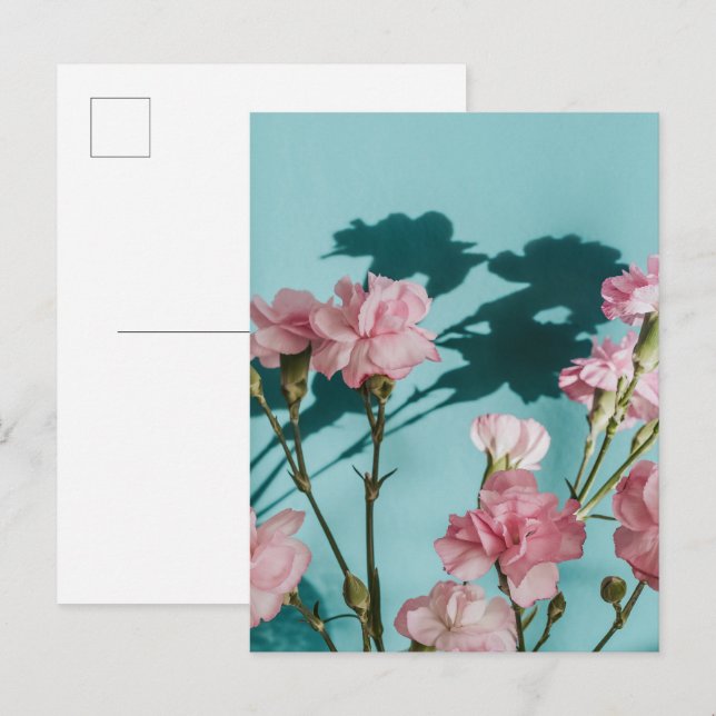 Drömska rosa nejlikblommor på blå bakgrund vykort (Fram/baksida)
