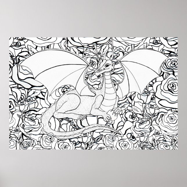 Drömvävar Drakon Poster (Framsidan)